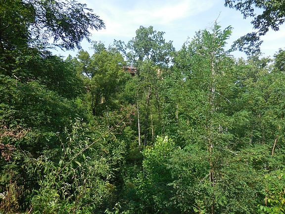 5th image of 523 Crooked Ridge Rd Lot 523