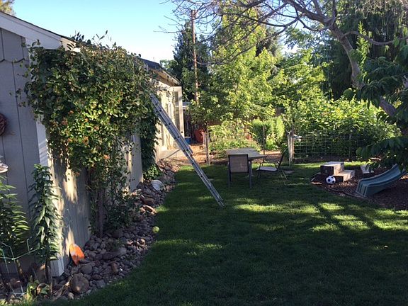 Back yard- shop and garage 