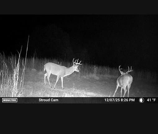 5th image of 930350 S 3540th Rd