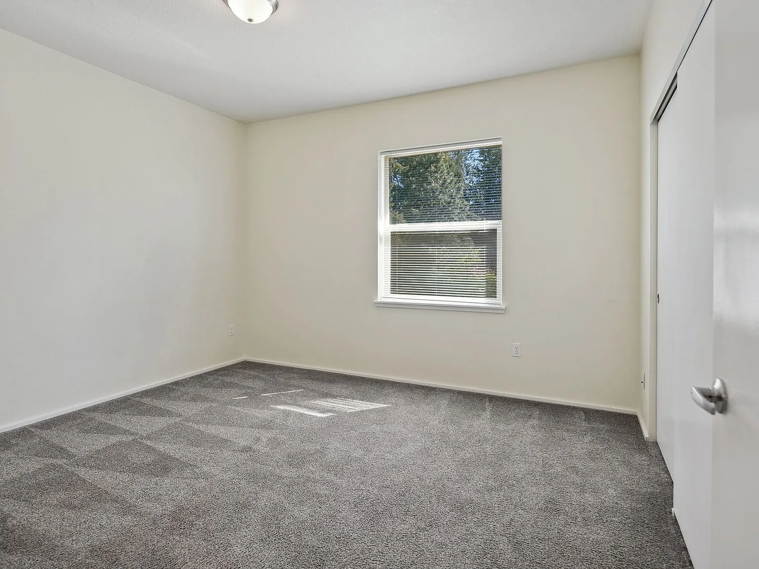 Mist Wood Apartments — Photo 4