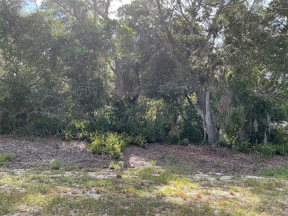 1st image of Olive Rd #7
