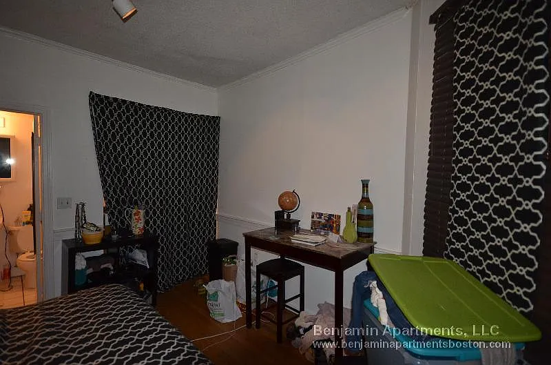 Studio, 222 sqft, $1,650 — Photo 2