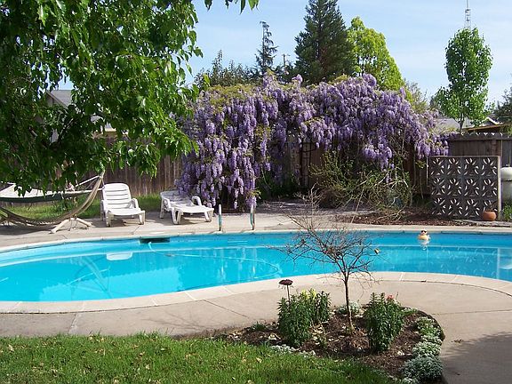 View from patio entrance to backyard