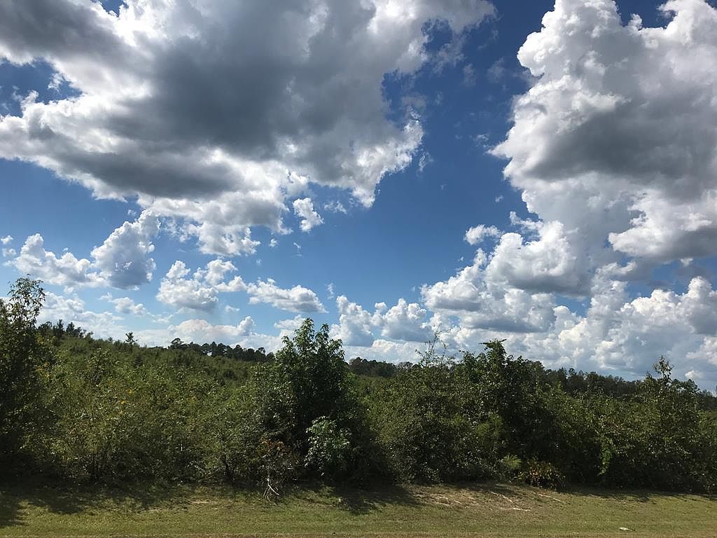 0 Lumber City Hwy, Hazlehurst, GA 31539 Zillow