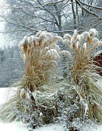 Concret Drive and Parking Pads : Dbl Deck, Patio, Front & Back Covered Porches. Outdoor Ceiling Fans