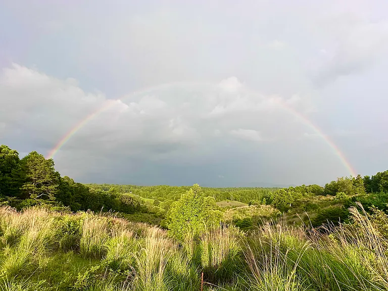 View at the entrance of the neighborhood. A great place to see rainbows!
