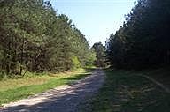 1st image of 140 Rock Creek Rd