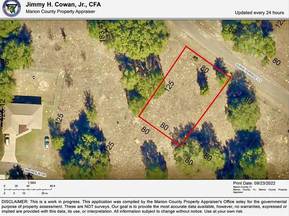 Guave Ter Lot 19, Ocklawaha, FL 32179