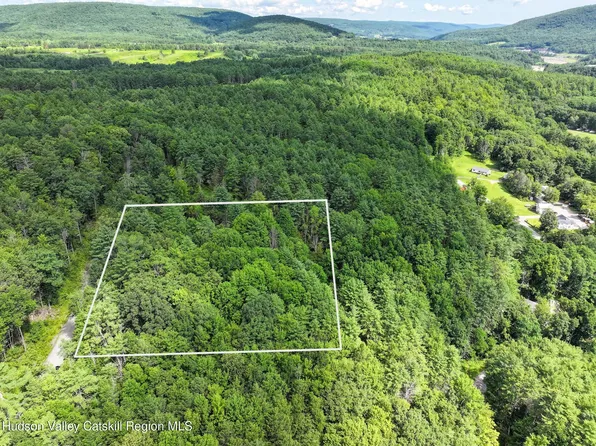Tbd Cresent Road, Gilboa, NY 12076