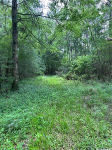 Passman Rd, Loranger, LA, 70446