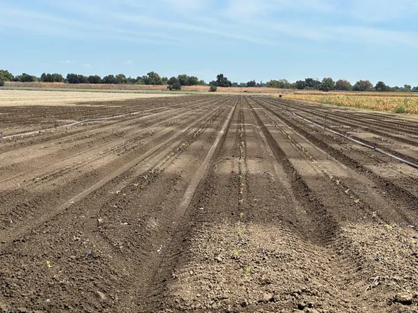 Old River Rd, West Sacramento, CA 95691