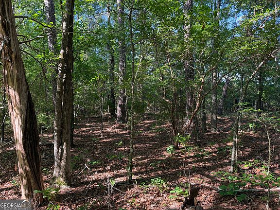 4th image of Beasley Rd