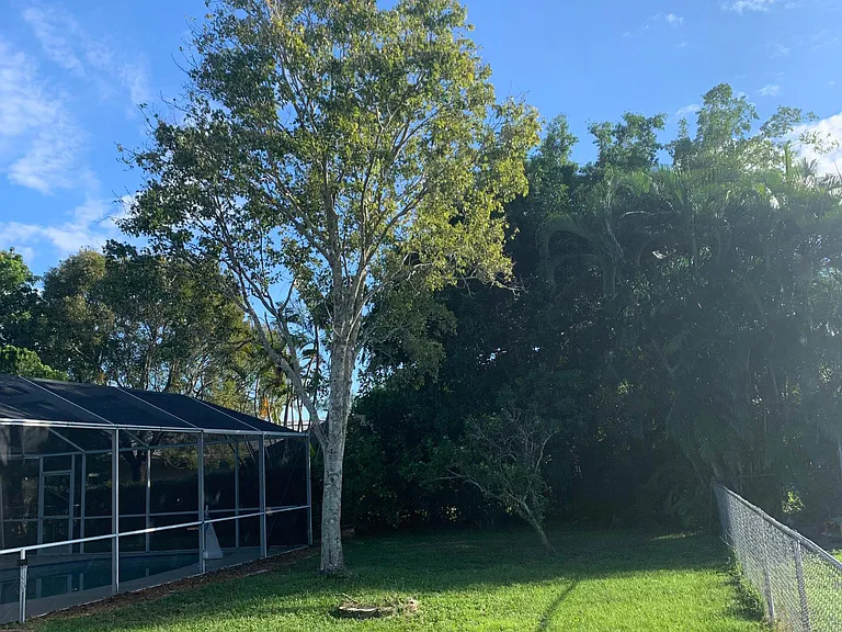 Fenced in back yard