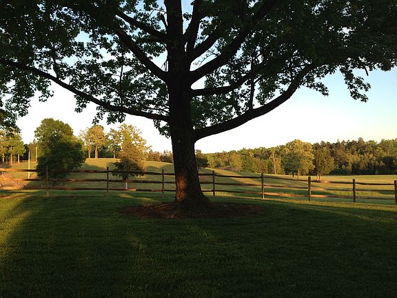 Pasture/wooded combo 170Tota