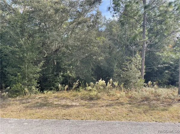 8624 N Catapane Loop, Crystal River, FL 34428