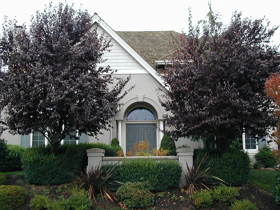 1st image of 6527 Fairway Ave SE