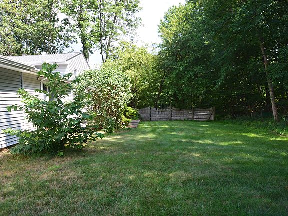 Established shade trees