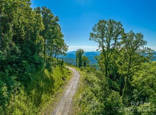 9999-29 Lovebird Ln, Canton, NC 28716