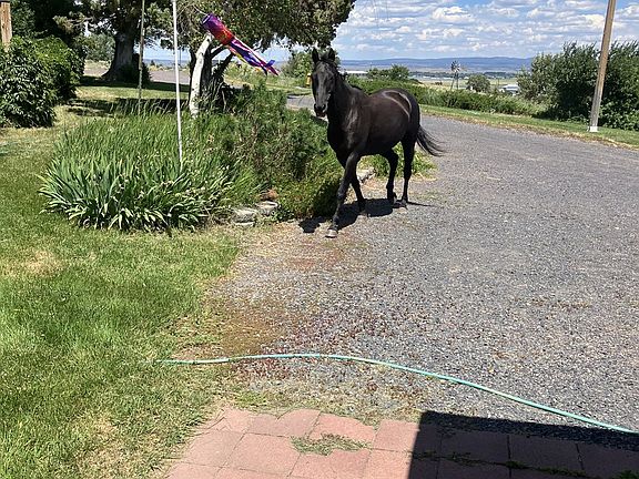 4th image of 68883 Loop Dr