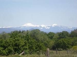 5th image of 5421 Iceland Dr