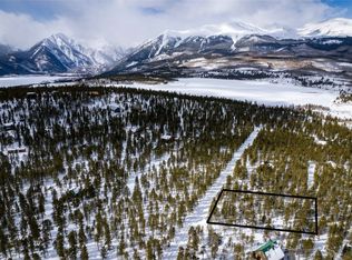 815 Peak View Dr, Twin Lakes, CO 81251