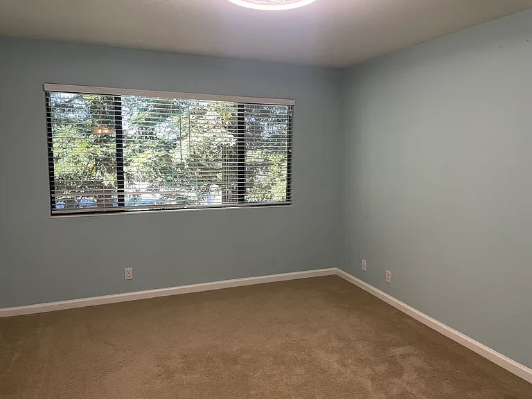 231 Via Pinada Ln — Photo 17