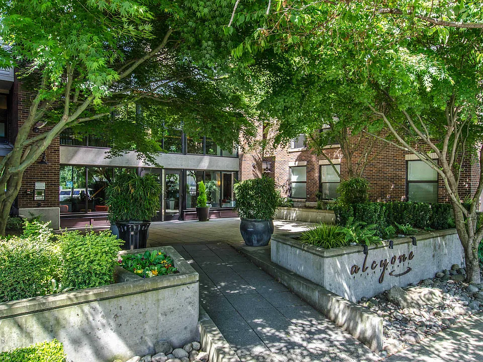 Alcyone Apartments Front Courtyard
