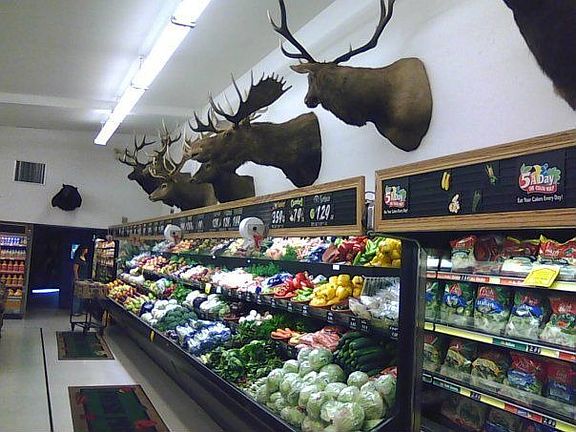 Stein's market in Troy