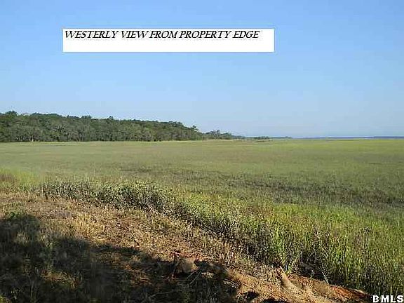 5th image of 20 Wood Ibis Trail