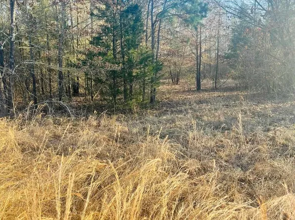 16 Sage, Sage, AR 72573