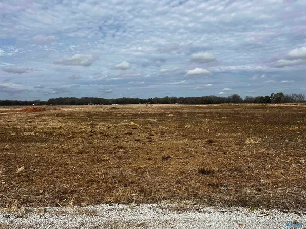 151 County Road 113, Town Creek, AL 35672