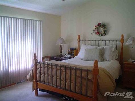 5th image of 33 Surrey Field Dr