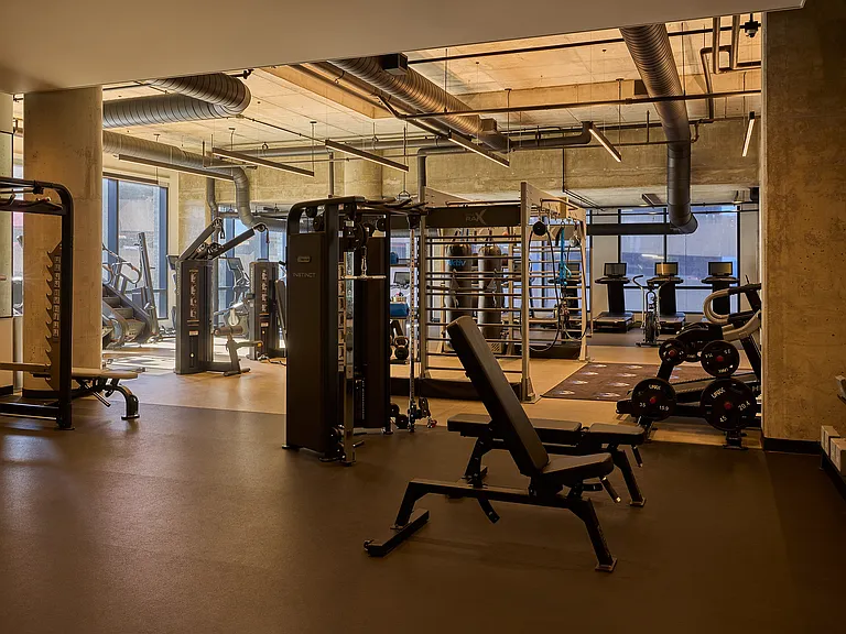 Fully Equipped w/ Cardio and Free Weights
