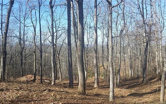 3rd image of 12 Tulip Poplar Trl