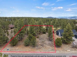 1696 Marmot Dr, Ridgway, CO 81432