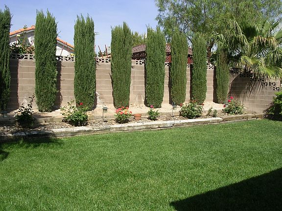 Private back yard