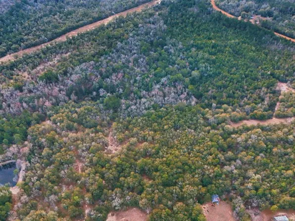 0 Lovely Grove Church Rd, Eastman, GA 31023