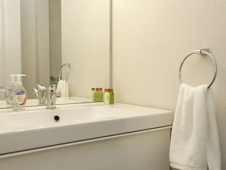 Soco at Alpine Bathroom Sink and mirror with decor