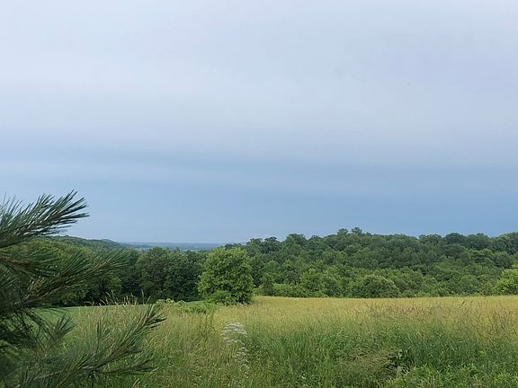 The View To The East