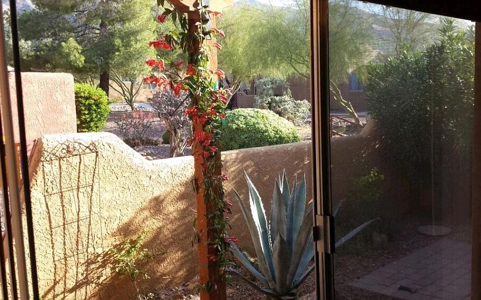 View from the living room