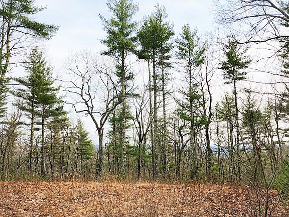 4th image of LOT 31 Valley View Ct