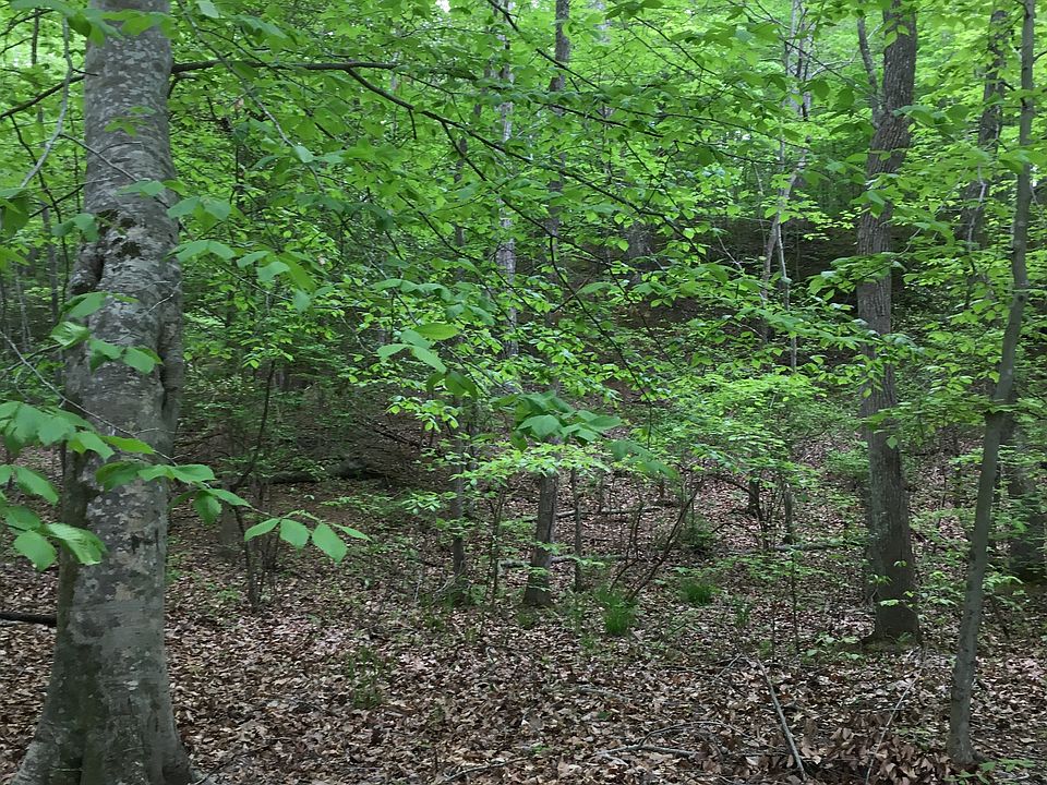 2nd image of 40720 Bobwhite Ln