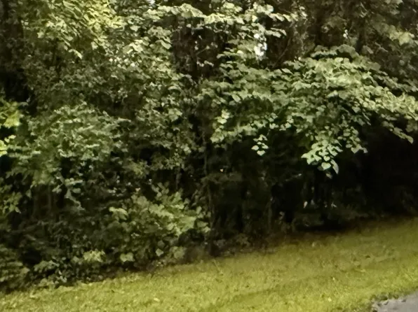 30 Canal St Lot 30, Childersburg, AL 35044