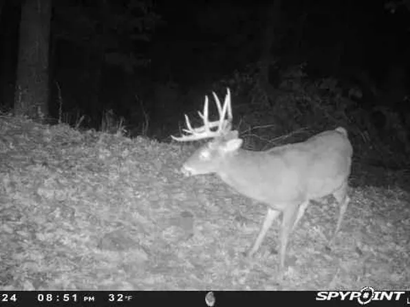 0 Leach Branch Rd, Hermann, MO 65041