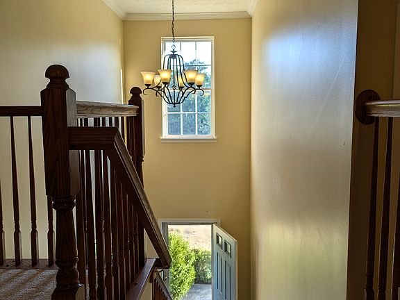 4th image of 4137 Tangletree Ct