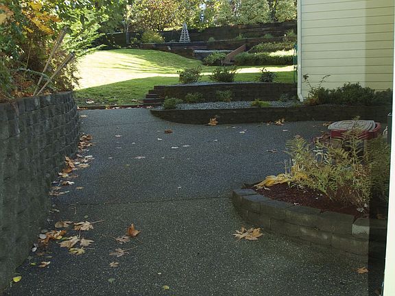 Backyard and patio