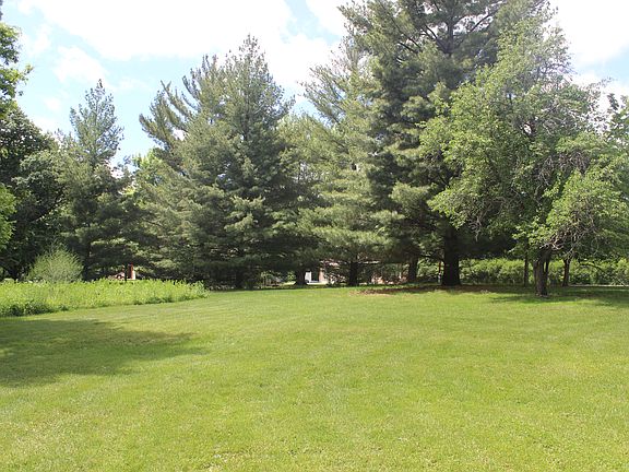 Pine trees center along road