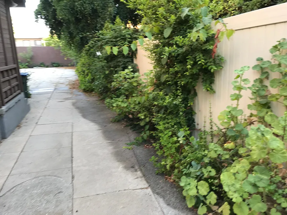 Driveway