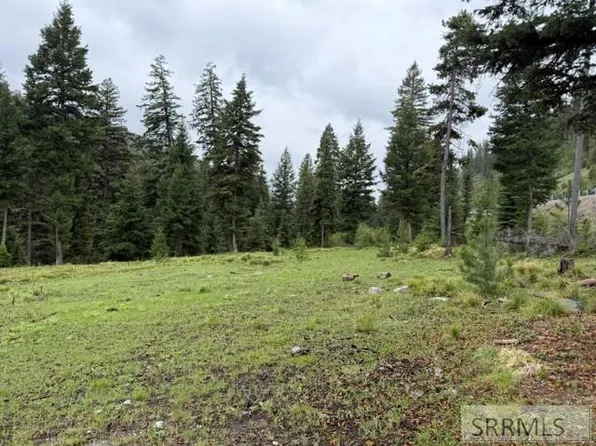 1B Kokopelli Dr, Gibbonsville, ID 83463