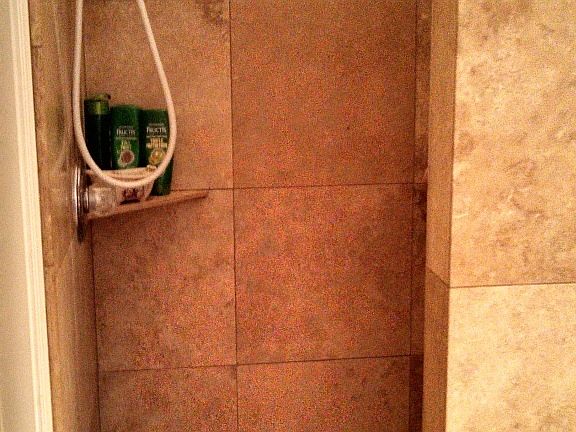 3rd image of 11009 W Palm Ln